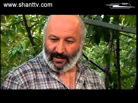 Սերիա 175
