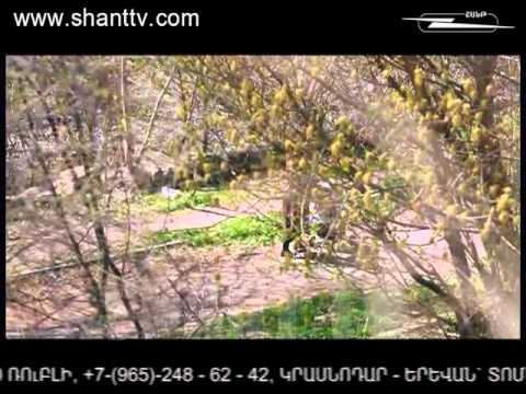 Սերիա 66
