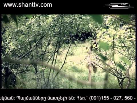 Սերիա 126