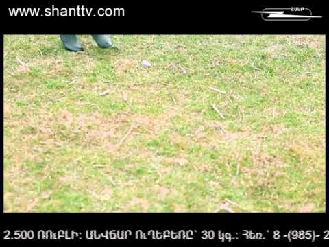 Սերիա 135